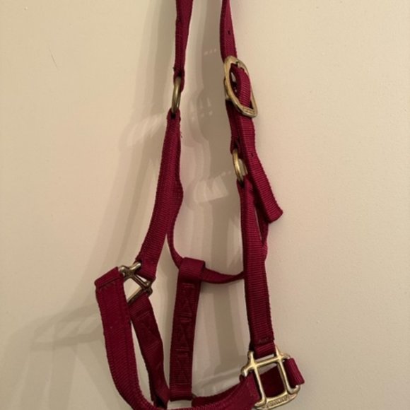 Other - Horse Halter:  RED FLAT NYLON  HALTER